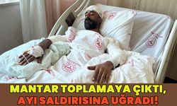 Bingöl'de Mantar Toplarken Ayı Saldırısına Uğradı!