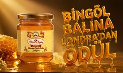 Bingöl Balına Londra’dan Ödül