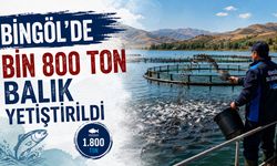 Bingöl’de Üretilen Balık Miktarı Açıklandı