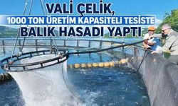 Bingöl’de 1000 Ton Kapasiteli Tesiste Balık Hasadı