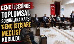 Genç ilçesinde toplumsal sorunlara karşı 'Genç İstişare Meclisi' kuruldu