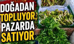 Bingöl Yaylalarının Şifalı Otları Pazar Tezgâhlarında