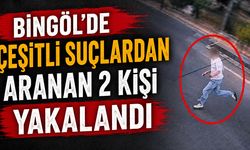 Bingöl’de çeşitli suçlardan aranan 2 kişi yakalandı