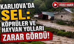 Karlıova'da Sel: Köprüler Ve Hayvan Yolları Zarar Gördü!
