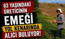 63 Yaşındaki Üreticinin Emeği Yol Kenarında Alıcı Buluyor!