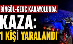 Bingöl-Genç Karayolunda Kaza: 1 Kişi Yaralandı