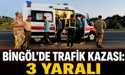 Bingöl'de Trafik Kazası: 3 Yaralı