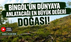 Bingöl'ün Dünyaya Anlatacağı En Büyük Değeri Doğası!