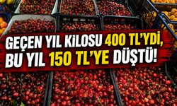 Geçen Yıl Kilosu 400 TL’ydi, Bu Yıl 150 TL’ye Düştü!