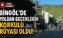 Bingöl'de Yoldan Geçenlerin Korkulu Rüyası Oldu!