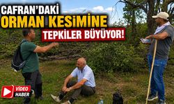 Cafran’daki Orman Kesimine Tepkiler Büyüyor!