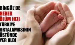 Bingöl’de Bebek Ölüm Hızı Türkiye Ortalamasının Üstünde Yer Aldı