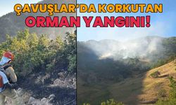 Bingöl'de Korkutan Orman Yangını!