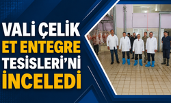 Vali Çelik Et Entegre Tesisleri'ni İnceledi