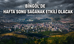 Bingöl'de Hafta Sonu Sağanak Etkili Olacak