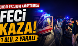 Bingöl-Erzurum Karayolunda Feci Kaza: 1 Ölü, 2 Yaralı