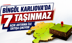Karlıova’da 7 Taşınmaz Açık Artırma İle Satışa Çıkıyor
