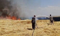 Diyarbakır'da Anız Yangını: Yüzlerce Dönümlük Arazi Küle Döndü