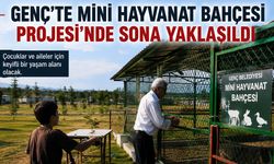 Genç’te Mini Hayvanat Bahçesi Projesi Çalışması