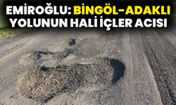 Emiroğlu: Bingöl-Adaklı Yolunun Hali İçler Acısı
