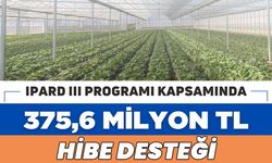 IPARD III ile Mayıs’ta 375 Milyon Lira Hibe Ödemesi