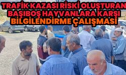 Bingöl’de 4 Köyde, ‘Karayollarında Kazalara Yolaçan Başıboş Hayvanlarla ilgili’ Bilgilendirme Çalışması