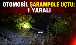Otomobil şarampole uçtu: 1 yaralı