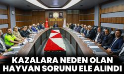 Kazalara Neden Olan Hayvan Sorunu Ele Alındı