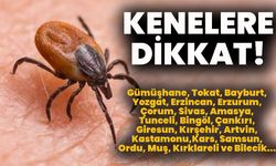KENELERE DİKKAT!