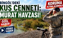Bingöl’deki Kuş Cenneti 'Murat Havzası' Koruma Altına Alınmalı!
