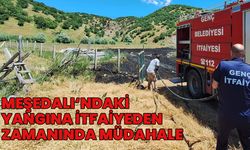 Genç’te Korkutan Yangın İtfaiyenin Müdahalesiyle Söndürüldü