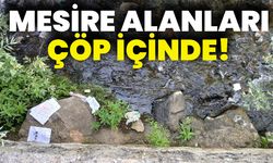 Mesire Alanları Çöp İçinde!