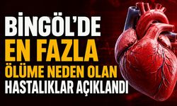 Bingöl’de En Fazla Ölüme Neden Olan Hastalıklar Açıklandı