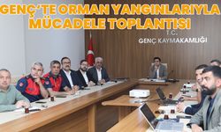 Bingöl’ün İlçesinde ‘Orman Yangınlarıyla Mücadele Toplantısı’