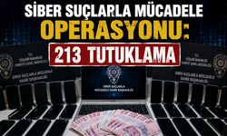 Bingöl'ün de Yeraldığı 29 İlde Siber Suçlarla Mücadele Operasyonu