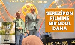 Serezîpon Filmine Bir Ödül Daha