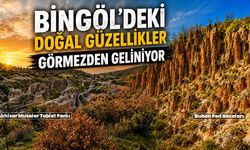 Bingöl’deki Doğal Güzellikler Görmezden Geliniyor