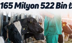 Çiftçilere 165 Milyon Liralık Destek
