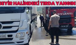 Bingöl Diyarbakır Yolunda Seyir Halindeki Tırda Yangın!