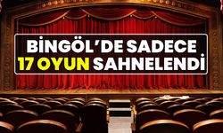Bingöl’de Sadece 17 Oyun Sahnelendi