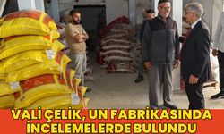 Vali Çelik, Un Fabrikasında İncelemelerde Bulundu