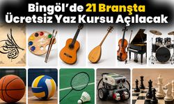 Bingöl’de 21 Branşta Ücretsiz Yaz Kursu Açılacak
