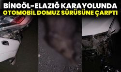 Bingöl-Elazığ Karayolunda Otomobil Domuz Sürüsüne Çarptı