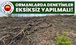 Ormanlarda Denetimler Eksiksiz Yapılmalı!