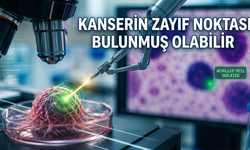 Kanserin Zayıf Noktası Bulunmuş Olabilir
