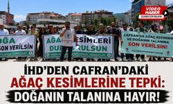 İHD’DEN ORMAN KESİMİNE TEPKİ!