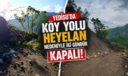 Yedisu’da Köy Yolu Heyelan Nedeniyle İki Gündür Kapalı!
