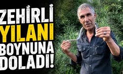 Zehirli Yılanı Boynuna Doladı!