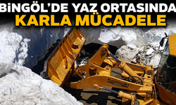 Bingöl’de Yaz Ortasında Karla Mücadele