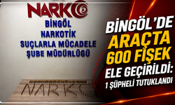 Bingöl’de Araçta 600 Fişek Ele Geçirildi: 1 Şüpheli Tutuklandı